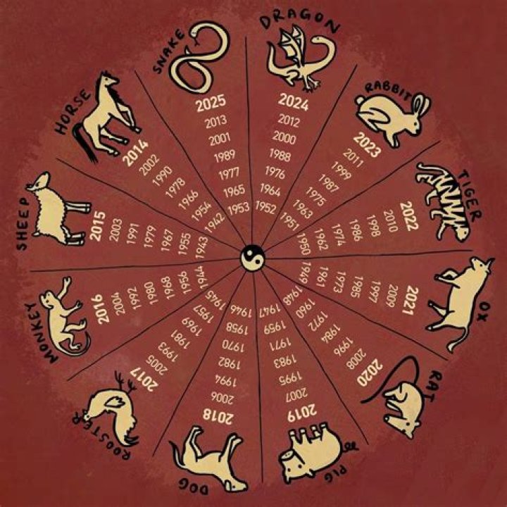 Chinese Zodiac 1974: Discover Your Zodiac Sign, Traits, and Compatibility