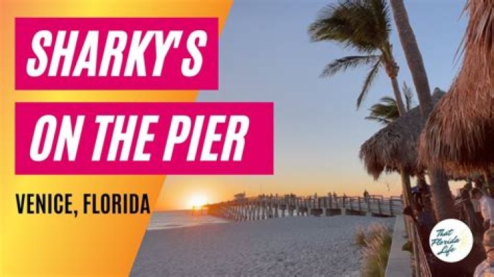 Sharky's Venice Beach Florida Webcam: Your Ultimate Guide to Live Coastal Adventures