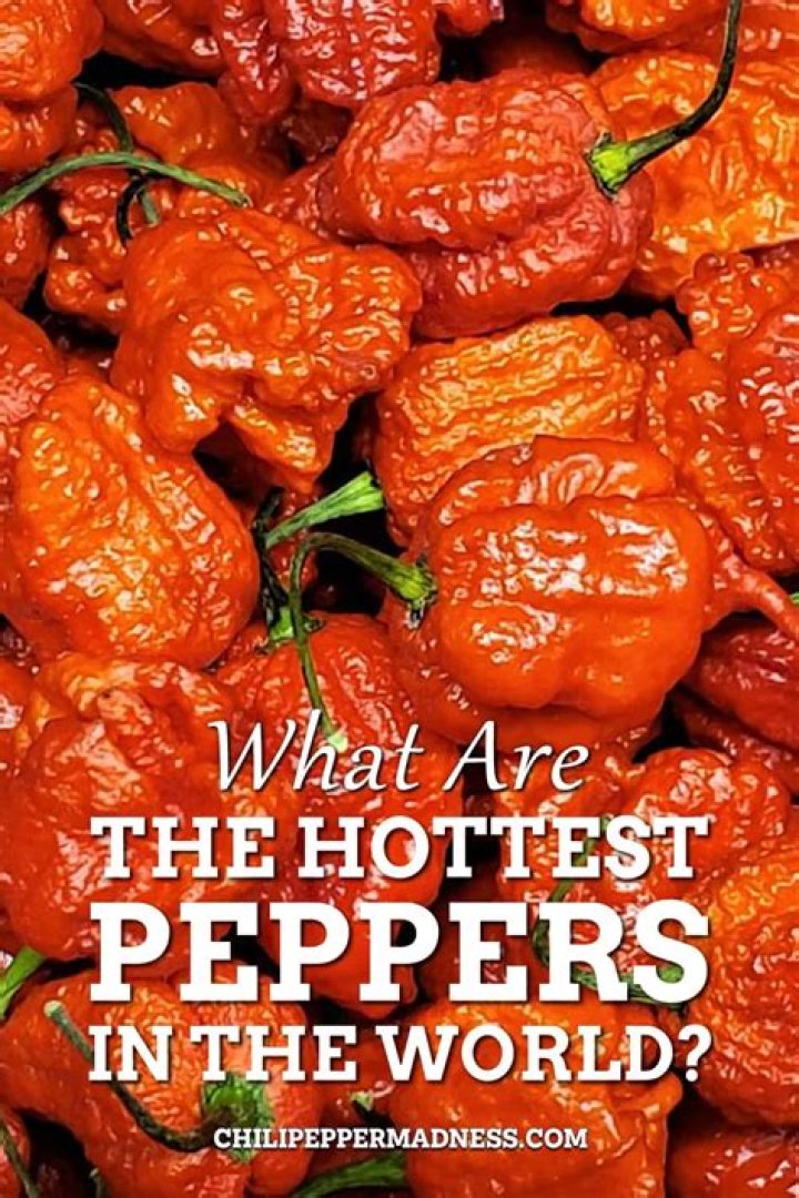 What is the Hottest Pepper on the Scoville Scale? Exploring the World of Extreme Heat